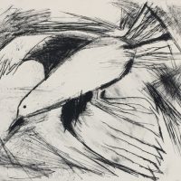 gulls, birds, seascape, flying, skies