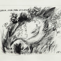 hens, wildlife, birds, somerset