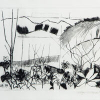 cornish landscape artist, printmaker